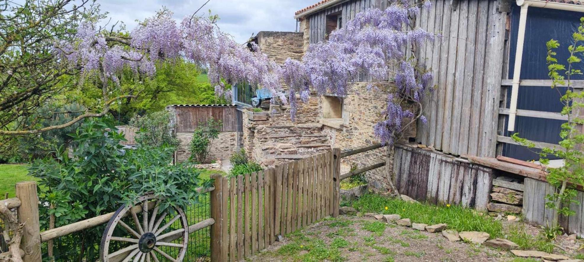 Aux Yourtes De La Fabrique Saint-Florent-des-Bois 외부 사진